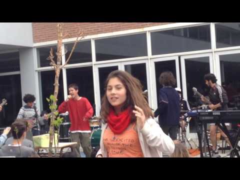 Tito Mariscal video