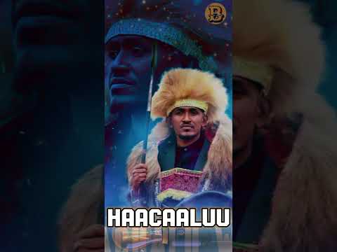 Arrooyii New Amharic poem by  Hailu Balcha (2025)