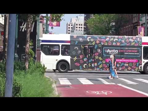 I made a PHLASH bus beeps it's horn at me😬