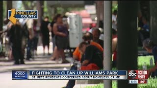 New group hoping to help improve St. Pete's Williams Park
