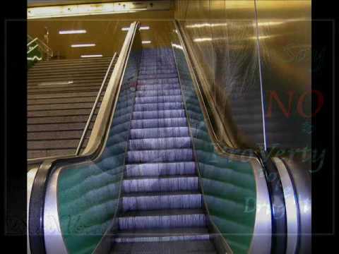 Genetic Disorder & Nachtgeist