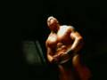 Brock Lesnar Next Big Thing