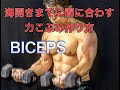 海開きまでに間に合う⁉映える力こぶの作り方[BICEPS WORKOUT]