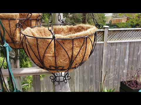 , title : 'Sharing tips on maintaining moisture in coco fibre lined hanging pots'