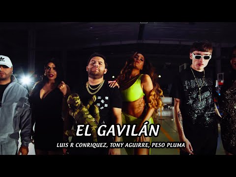 Luis R Conriquez, Tony Aguirre, Peso Pluma - El Gavilán (Letra/Lyric)