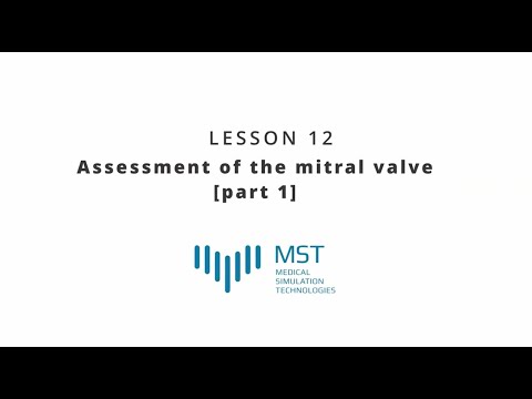 MST Masterclass - Lesson 12 - Assessment of the mitral valve (part 1)