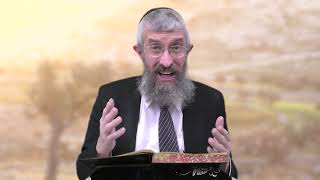 מסכת מנחות דף צב - 8 דקות של לומדות ועמקות בדרך הלימוד הישיבתית [Menachot 92]