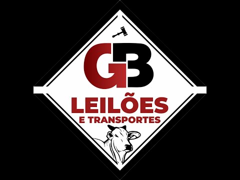 GB LEILÕES E TRANSPORTES - COLINAS DO SUL - GO - 09/03/2024