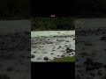 Jaane Na Tu Ki Tera Kitna Khayal Mai Karoon Ishq Mai Hoon Toh Phir Itne Sawaal Kyun Karoon