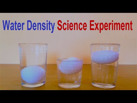 Water Density Science Experiment using Eggs Salt Water DIY howtofunda