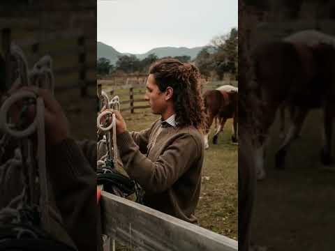 #domaindia #conexão #horses