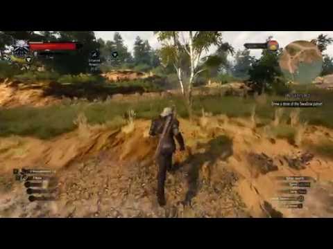 Let's Play The Witcher 3: Wild Hunt (BLIND) - Episode 8