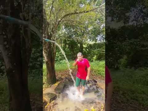 bica natuba paraíba tomando banho