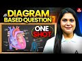 NEET 2025 Biology All Diagram Based Questions In ONE SHOT With Garima Ma Am