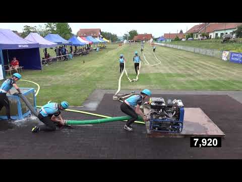 Kobylí_dorost v Pasohlávkách 2022 (první pokus)