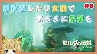 【ゼルダの伝説 ティアーズ オブ ザ キングダム #8 】暑くて気だるくても、ゼルダがやりたい！！【＃気ままにクルスゲーム】