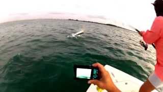 preview picture of video 'Lyd Le'Ng Tarpon Fishn in Islamorada'