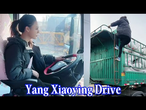 Yang Xiaoying went to buy a new tractor and the first shipment