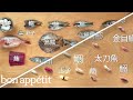How To Make 12 Types Of Sushi With 11 Different Fish Handcrafted Bon Appétit