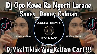 Download lagu DJ OPO KOWE RA NGERTI LARANE NALIKO PAS AKU KELANGAN KOWE | DJ SANES DENNY CAKNAN VIRAL TIKTOK mp3