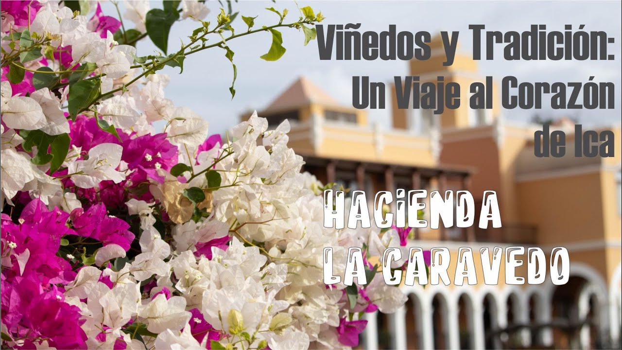 Hacienda la Caravedo - Ica Pisco el Porton