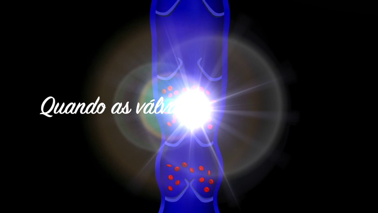 Danielle Milani Bernardes-17