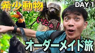 【スラウェシ】バリ島から2時間でいける秘境VLOG!あなただけの大自然旅【バリ倶楽部のオーダーメイドツアー】