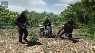 Monkeys super dance in Telugu song