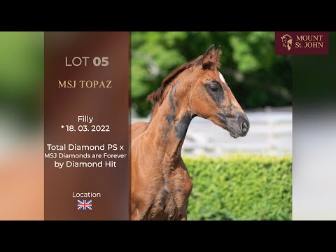 FOALS ONLINE AUCTION Lot 05 MSJ Topaz Filly Total Diamond PSxMJS Diamonds are Forever by Diamond Hit