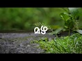 Mazha Documentary Kerala Rain