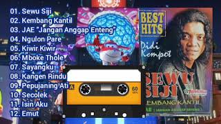 Download lagu Best Hits Didi Kempot Sewu Siji (Original Full Album) Super Wings  mp3