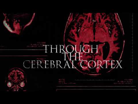 DRAVEN x WE ARE MAGONIA - Through The Cerebral Cortex