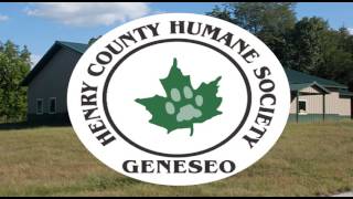 preview picture of video 'Logo Animation, Geneseo Humane Society'