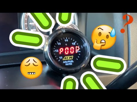 AEM afr gauge problems and most possible solution