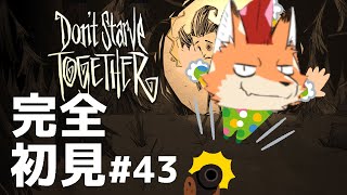 [Don't Starve Together]初見配信！難関サバイバルゲー！ここは地獄の一丁目…？その４３#vtuber