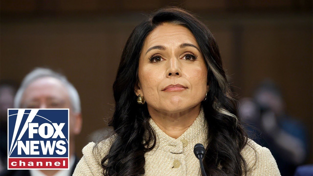 White House denies rumors Tulsi Gabbard could be removed