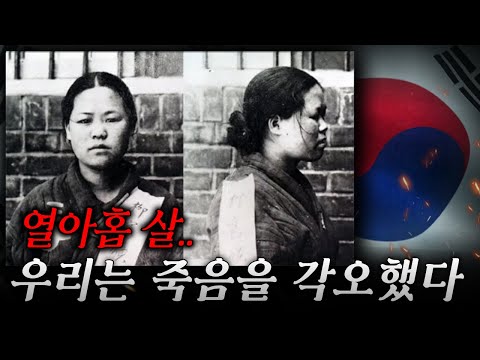 8월15일 대한민국 광복절 80주년 광복 영상