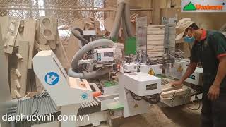 Woodmaster. MÁY ĐÁNH MỘNG DƯƠNG CNC 2 đầu 4 dao đa năng