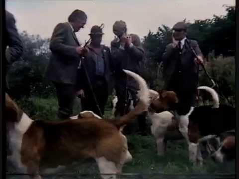 Three Counties Minkhounds, Newnham Bridge, September 8th 1982