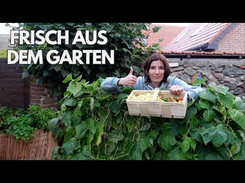 Mein großer Winter-Vorrat: Alles einkochen & haltbarmachen!