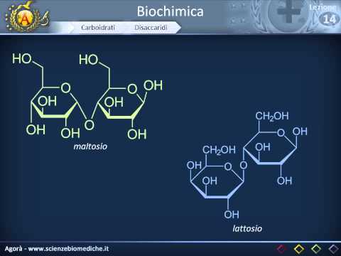 RMN del rachide cervicale è a buon mercato Alcuni farmaci anti-infiammatori non steroidei in osteocondrosi