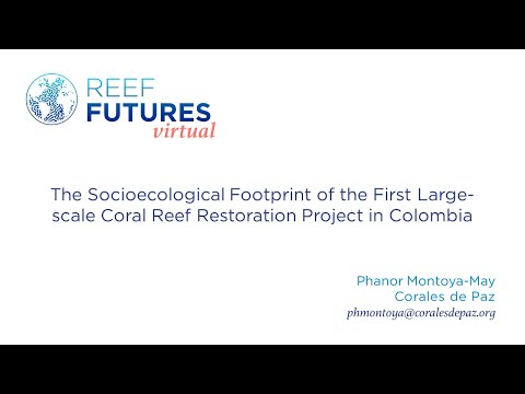 Thumbnail for The Socioecological Footprint of the Large-scale Restoration in Colombia (Phanor Montoya-Maya) by Colombia