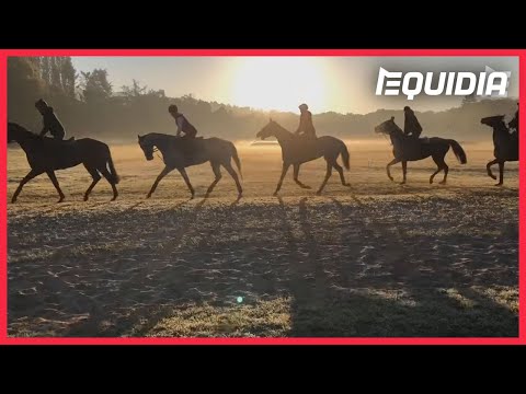 TOUR DE COUR CHEZ DAVID COTTIN, UNE ARMÉE POUR LA REPRISE !