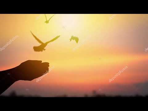 Λέσβος - Το χθές και το σήμερα σε αντιπαράθεση.