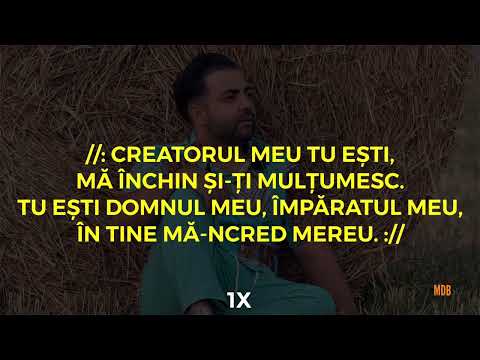 Negativ- Creatorul meu
