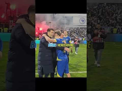 Velika Greška  #alajbegovic #pjanic
