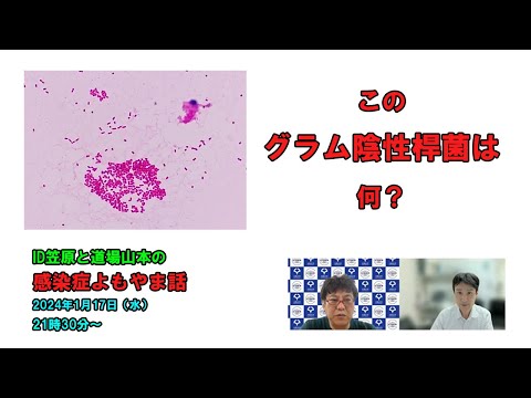 看護学科 この（尿の）グラム陰性桿菌は…何？