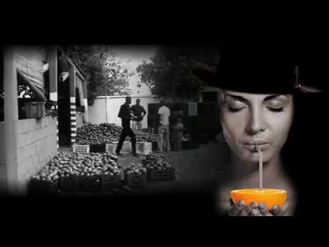 Introduction to The Fresh Connection