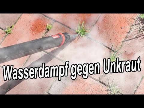 Wie du Unkraut 𝐦ü𝐡𝐞𝐥𝐨𝐬 mit heißem Wasserdampf entfernen & beseitigen kannst!