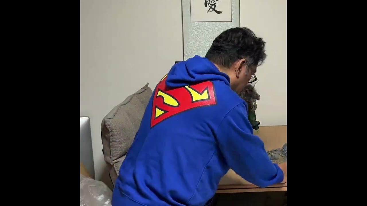 Dissecting the Base: A 6-Piece Breakdown! #shorts